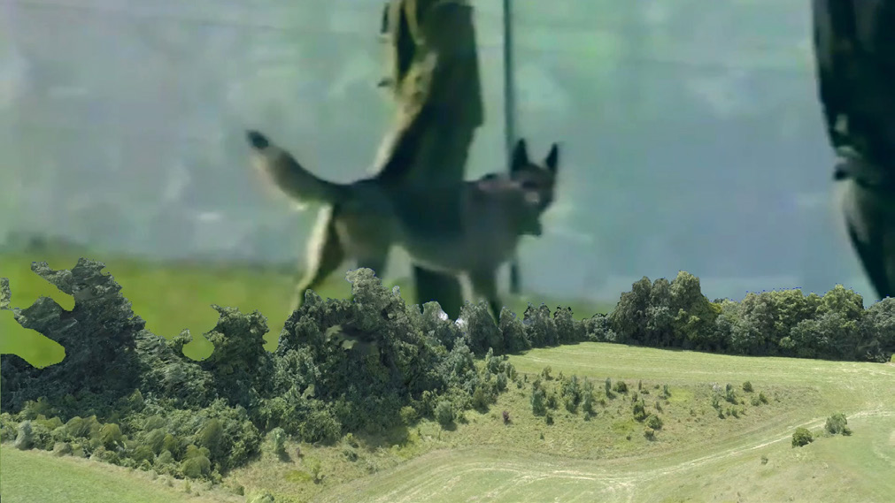 吳權倫，《格拉芙拉特：牧犬傳》