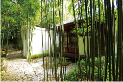 CAMA COFFEE ROASTERS豆留森林－原生竹林