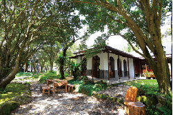 CAMA COFFEE ROASTERS豆留森林